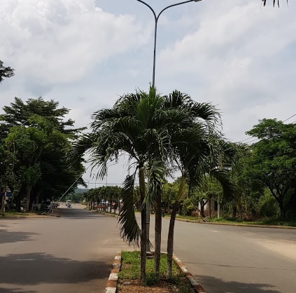 Khu công nghiệp Nhơn Trạch Ii - Nhơn Phú